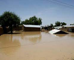 17 escape death as heavy rainfall renders scores homeless in Yobe