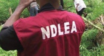 Drug traffickers kidnap former NDLEA officer in Benue