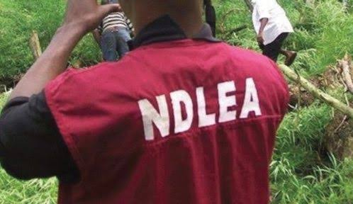 Drug traffickers kidnap former NDLEA officer in Benue