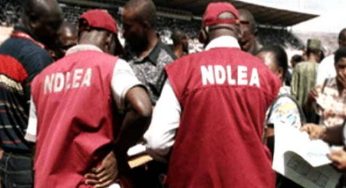 Drug war: NDLEA bursts Lagos, Oyo drug joints, others, arrests 110 dealers