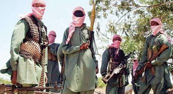 50 kidnapped, two killed as terrorists attack Kaduna village