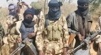 We will stop killing if… Bandits give Niger community condition