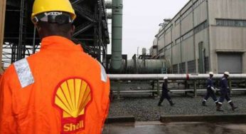 Couple sue Shell, demand N50b over damage of son’s brain