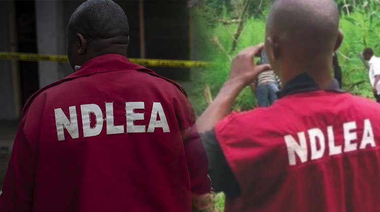 Why are conducting stop-and-search at Lekki — NDLEA
