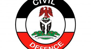 Civil defence corp, brother caught in attempt to rape minors in Makurdi