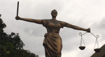 Drama as court goes spiritual in Adamawa, employs herbalist to get confession from suspects