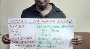 NDLEA arrest two Nigerians, Ghanaian at Enugu, Abuja Airports with cocaine, Meth