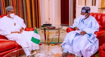 2023 presidency: Full details of what Tinubu told Buhari at Aso Rock