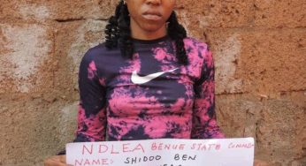 21-year-old lady arrested with 14 sachets of cracked cocaine in Otukpo