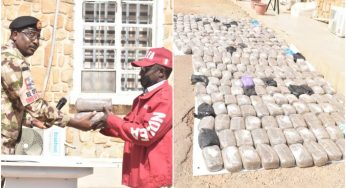 Military taskforce intercepts illicit drugs worth N6.5 million in Kaduna