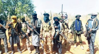 Bandits raid Buhari’s homestate, kill Tukur Makeri, kidnap scores