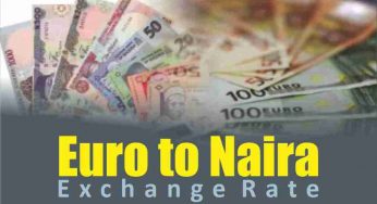 Euro to naira exchange rate today, December 19 2022