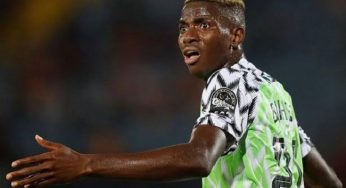AFCON 2021: Good news for Nigeria Super Eagles as Osimhen returns