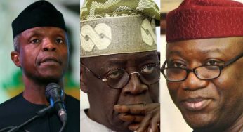 2023 presidency: OPC disowns Osinbajo, Tinubu, Fayemi