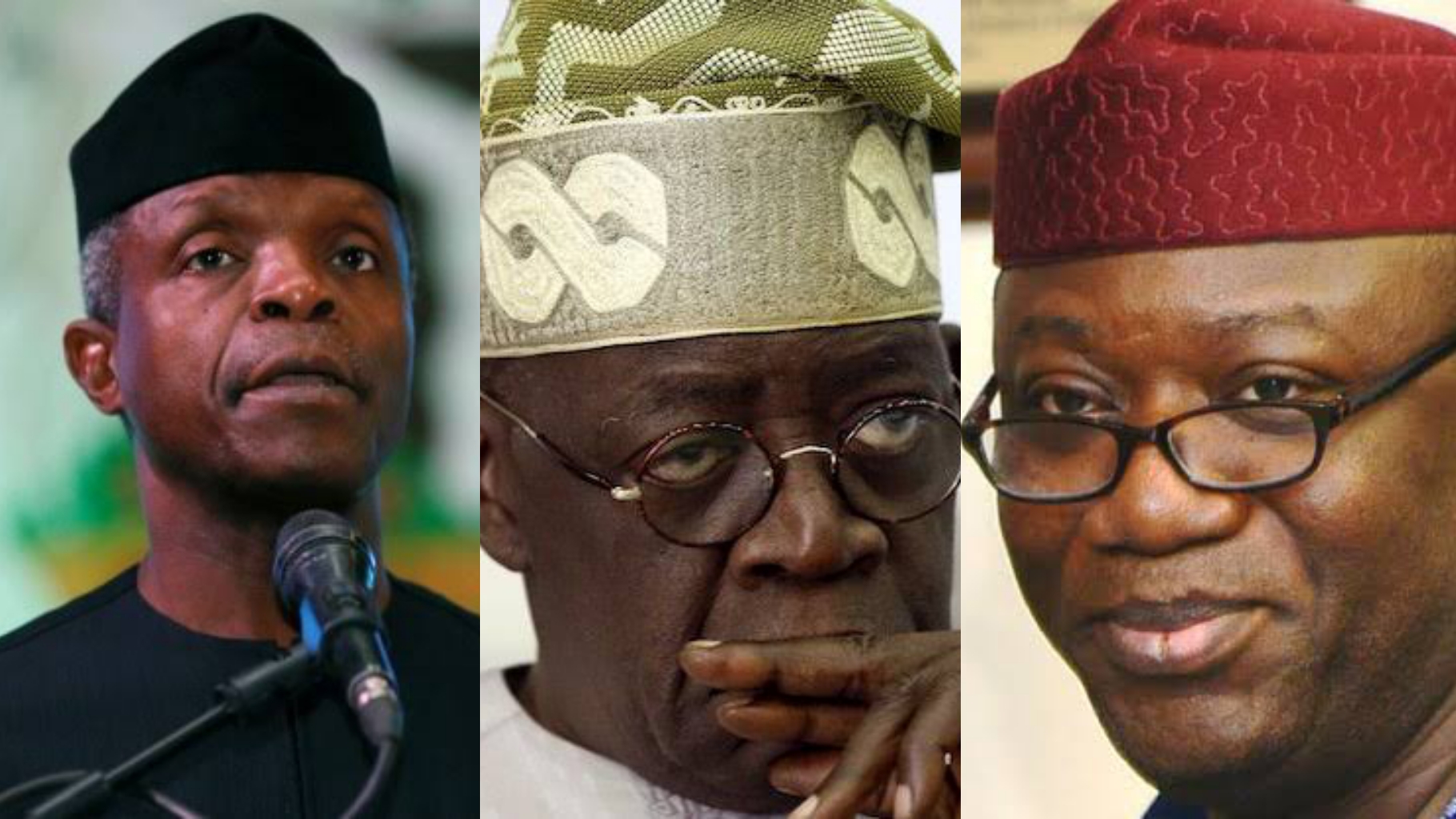 2023 presidency: OPC disowns Osinbajo, Tinubu, Fayemi