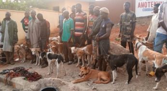 Pandemonium as northern youths storm Ondo with 35 dogs, dangerous weapons 