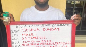 Skit maker, D-General, 3 others arrested in NDLEA’s Lagos raids