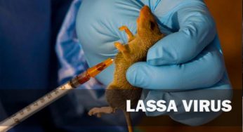 NCDC: Red alert as Lassa fever death toll hits 102