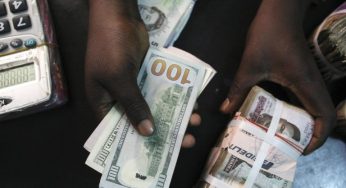 Naira falls as FX turnover drops to 3-month low