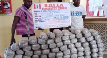 NDLEA intercepts fake $4.7million cash in Abuja