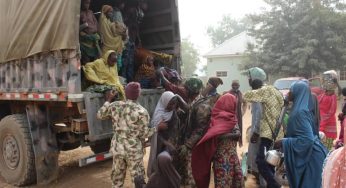 ISWAP: Terrorists, family members surrender pot of soup, bicycle in Borno (PHOTOS)