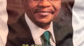 CBN Gov, Godwin Emefiele’s presidential campaign posters surface online