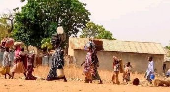Three women running from bandits deliver babies in Niger bush