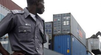 Customs intercepts Donkey hides/skin, others truckloads worth over N320m DPV