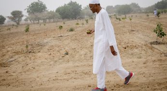 Buhari came to power unprepared – Northern elders