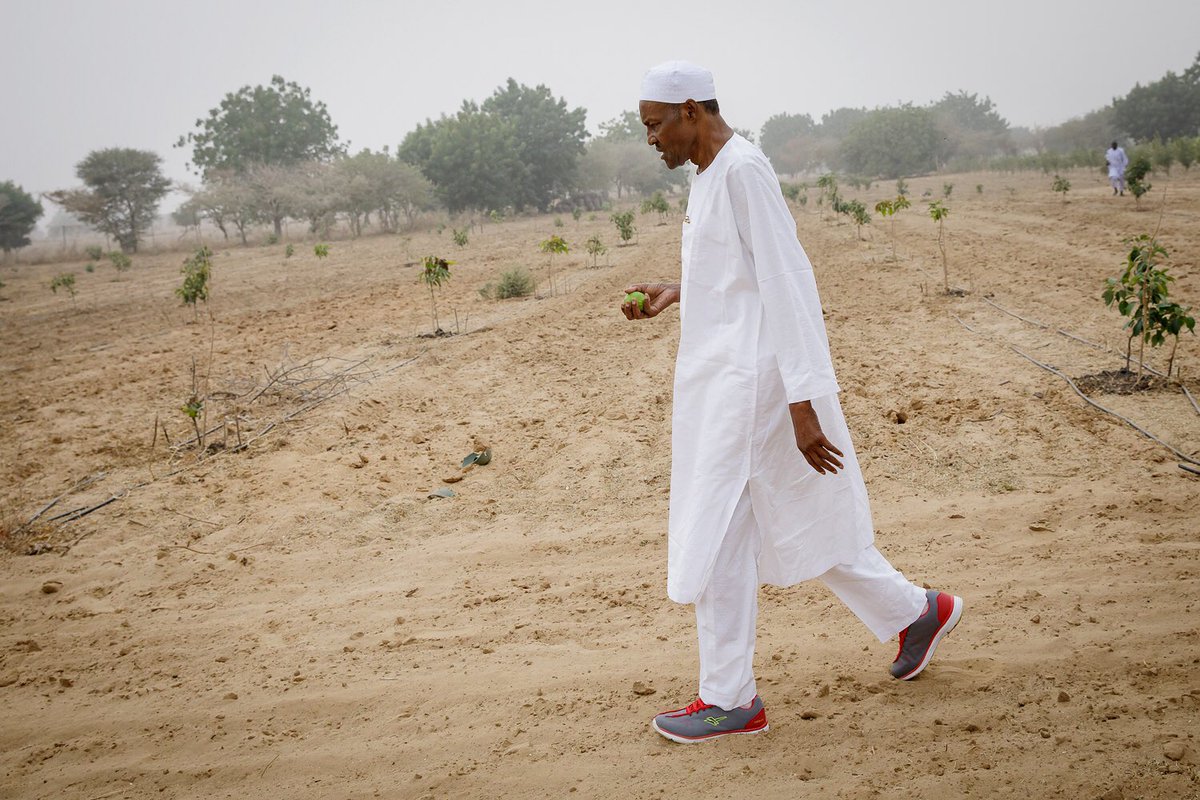 How Buhari trekked from Southeast to Cameroon border – Adesina