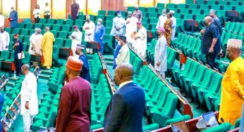 Ritual killings: Reps declare state of emergency in Nigeria