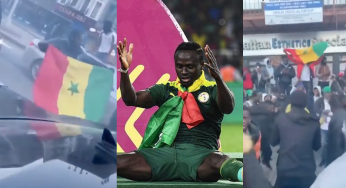 VIDEO: Excited America-based Senegalese celebrate AFCON 2021 victory