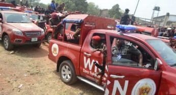 63 Northerners found hidden in trailer among rams, motorcycles