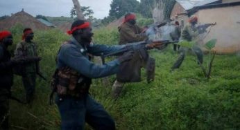 Bandits kill 13 security operatives, kidnap Chinese expatriates in Niger mining site