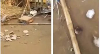 Angry youths destroy shrine where names, destinies were tied in Anambra (Video)