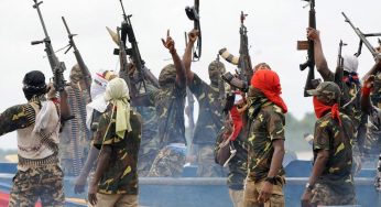 Buhari govt to give loans to ex-Niger Delta militants