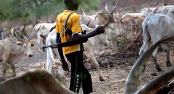 8 killed, 2 injured as herdsmen attack Plateau community