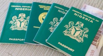 UAE imposes total visa ban on Nigerians, reject all pending applications