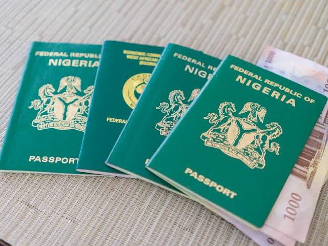 FG grants Nigerian citizenship to 286 Americans, others