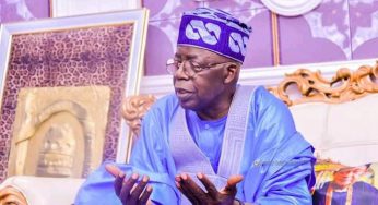 2023 presidency: Buhari’s aide declares support for Tinubu