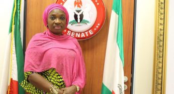 Why NASS killed gender bills – Ekwunife