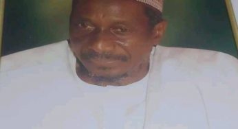 Former Bayero University Acting VC ,Danjuma Maiwada is dead