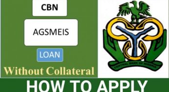 How to apply for CBN Agric Small and Medium Enterprise Scheme (AGSMEIS) loan