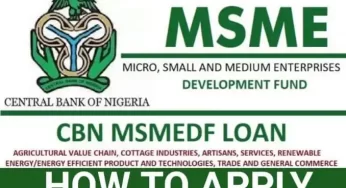 How to apply for CBN Micro, Small and Medium Enterprises Development Fund (MSMEDF) 2022