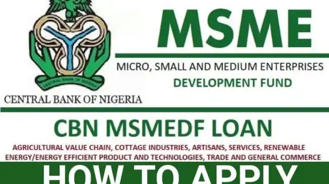 How to apply for CBN Micro, Small and Medium Enterprises Development Fund (MSMEDF) 2022