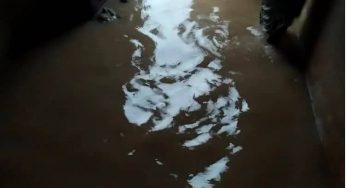 Flood takes over seven communities in Niger