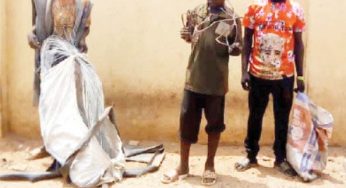 Three caught while stealing electric cables in Abuja