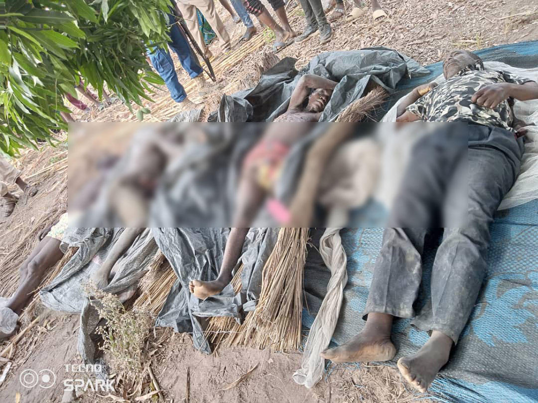 BREAKING: Bloodbath in Benue as Fulani herdsmen butcher scores in Guma