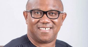 We are not against Peter Obi – Fulani group blasts Miyetti Allah’s scribe