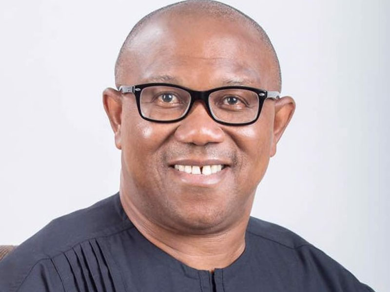 Peter Obi, supporters under fire over petitions against Reno Omokri, Deji